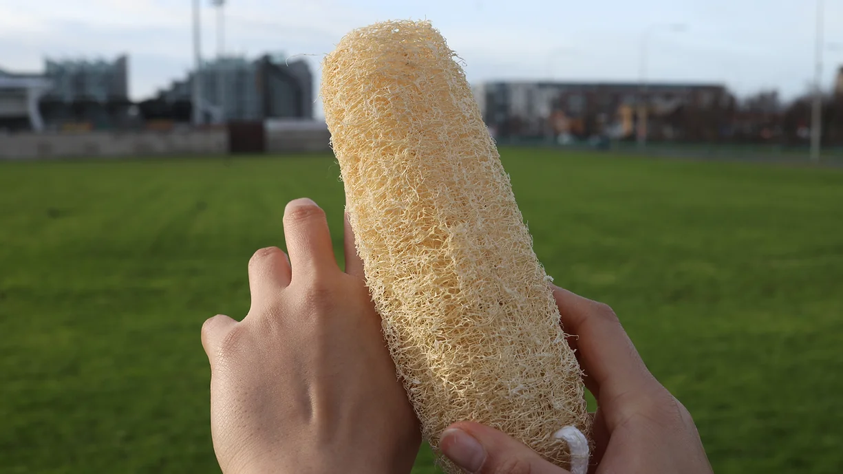 img-blur-shadow-blog-2